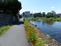 P1000963