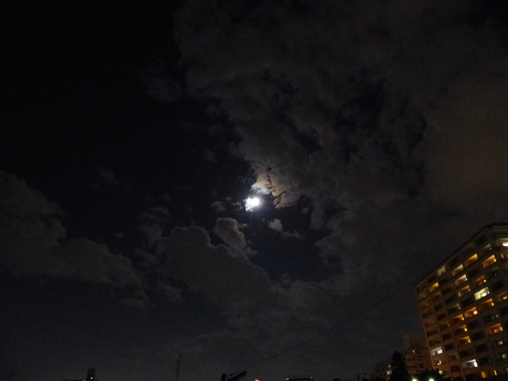 P1010015