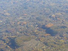 P1020788