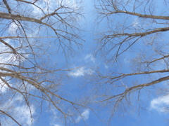 P1030156