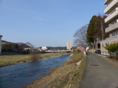 P1030351