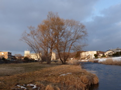 P1030028