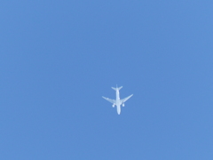 P1000263