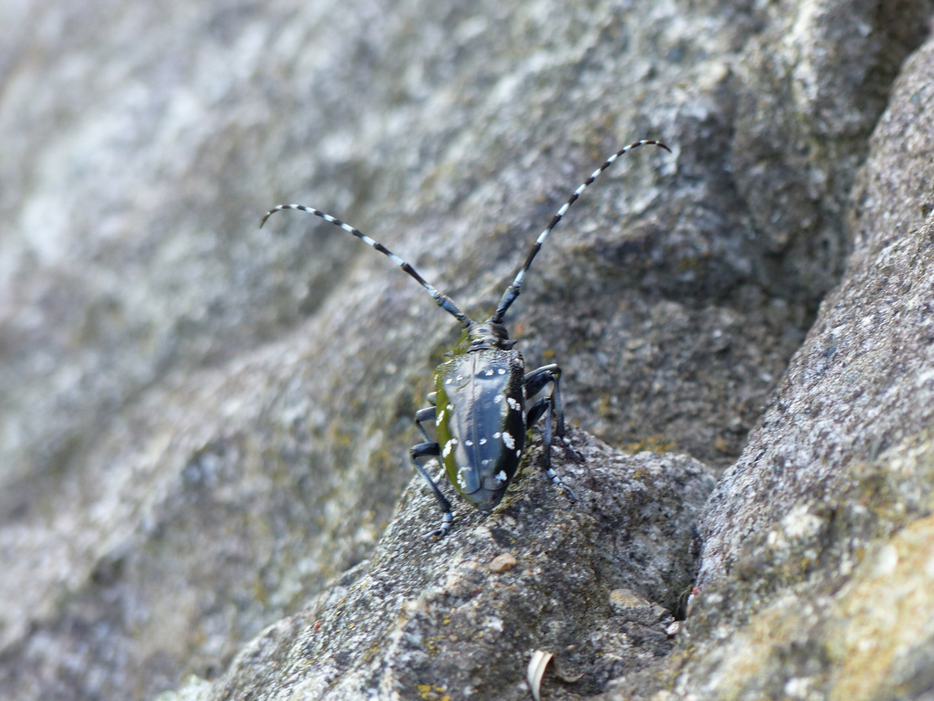 P1000156