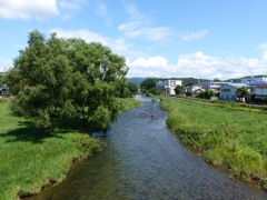 P1000936