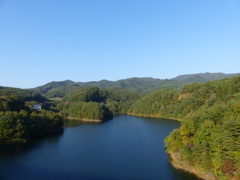 P1020288