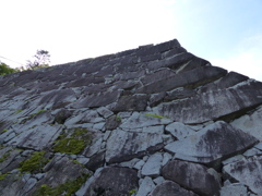 P1000623