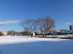 P1020536