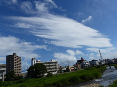 P1000162