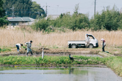 田植えの季節