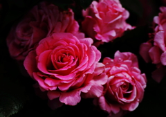 妖花