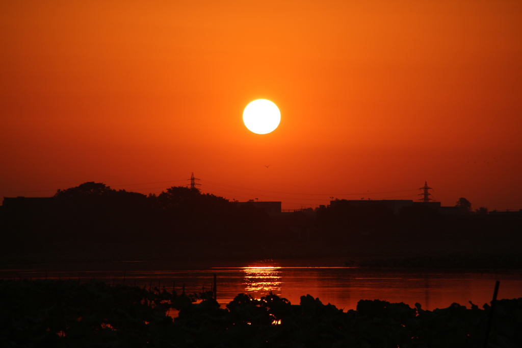 10月19日、朝日。