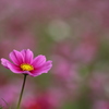 背伸びして。
