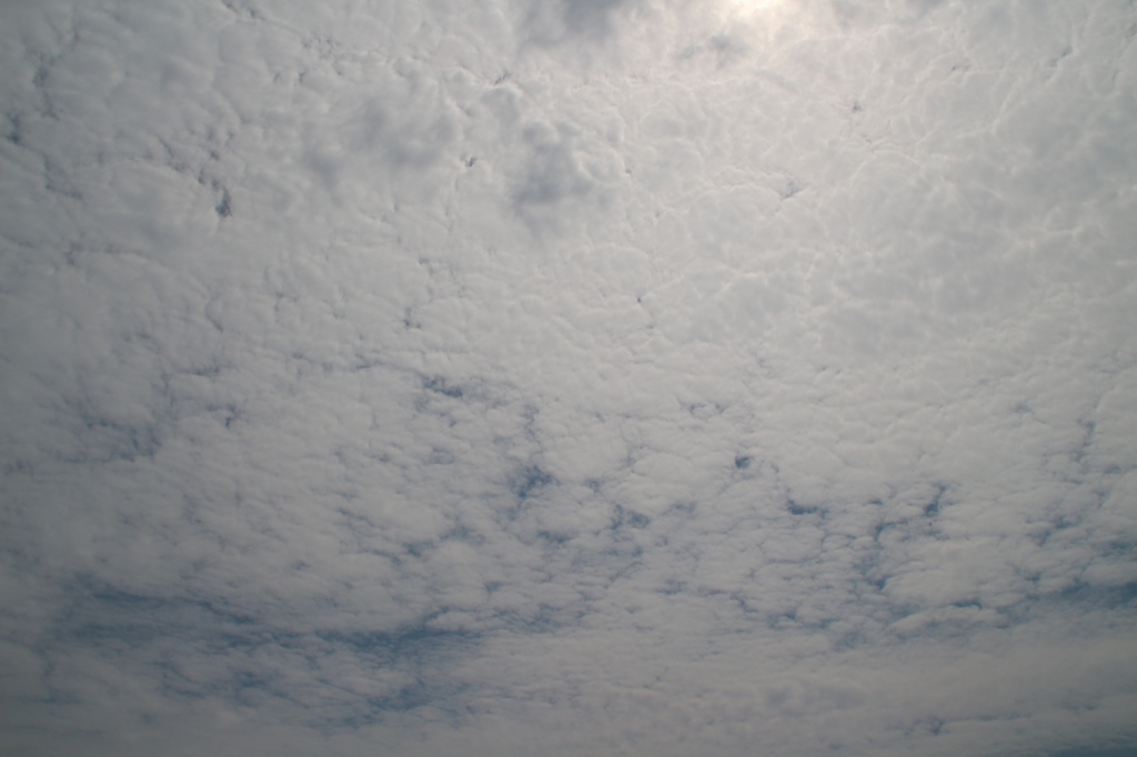8月21日、空模様。