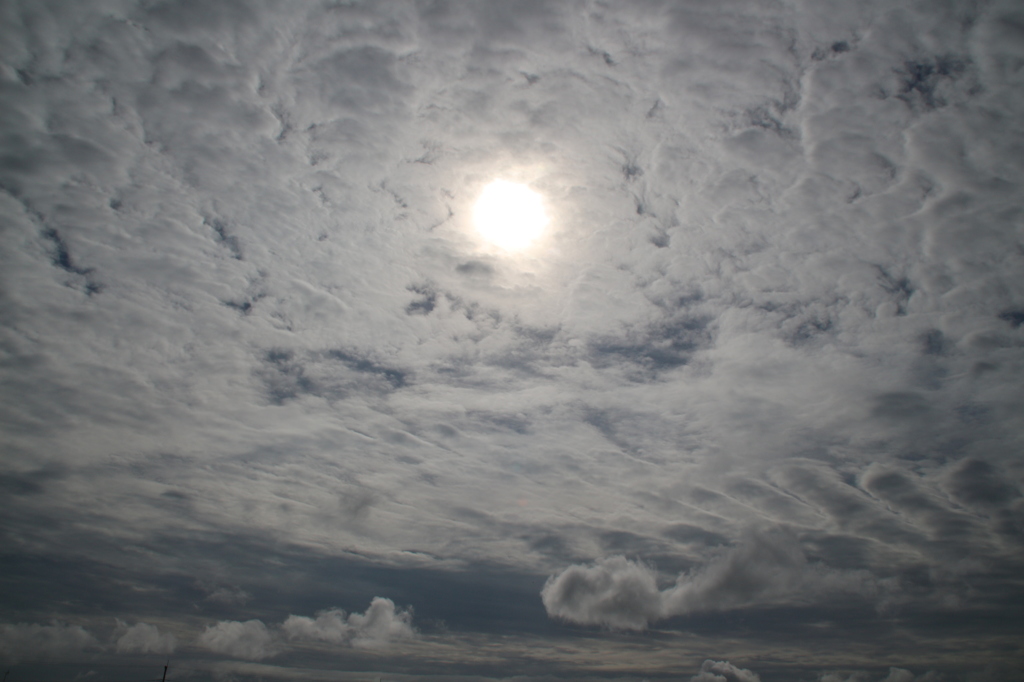 8月30日、雲模様。