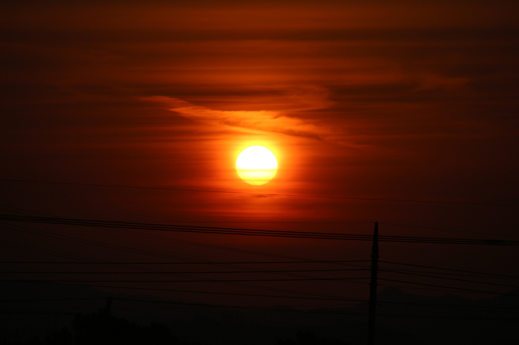8月4日、朝日。