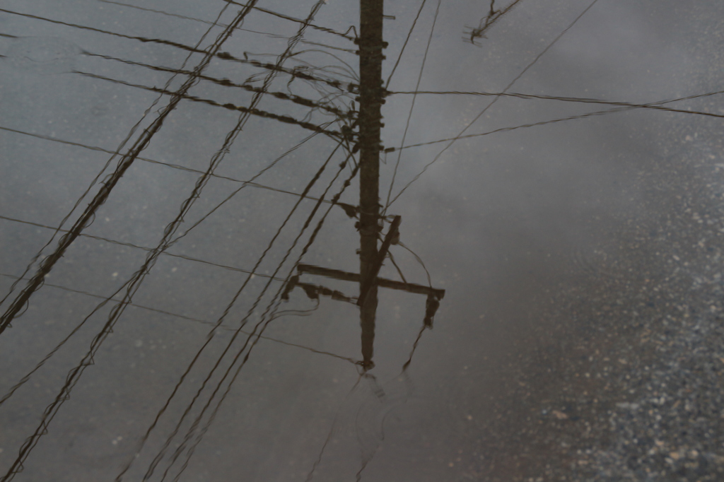 水の中の電柱。