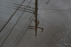 水の中の電柱。