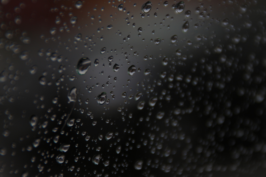 雨の雫。