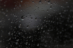 雨の雫。