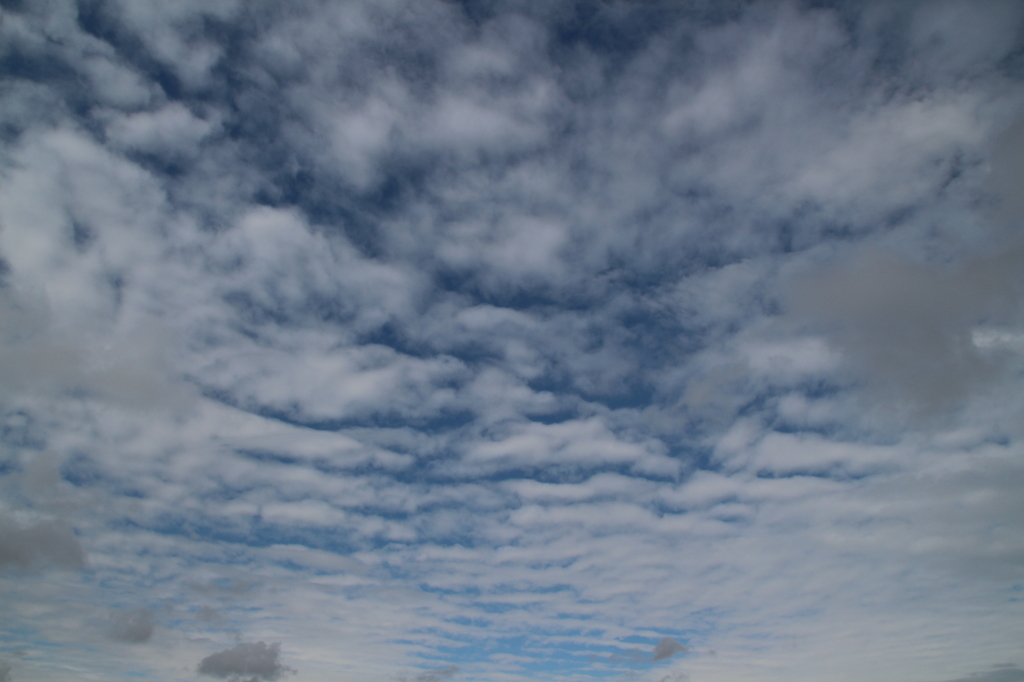 8月30日、空模様。