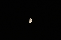 8月5日、十日夜。