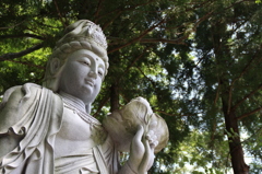 聖観音菩薩。