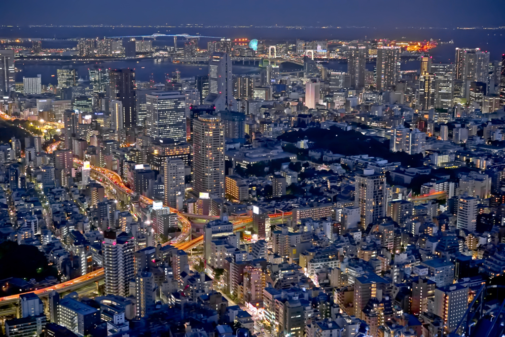 Metropolitan Night View