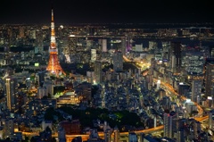 天空回廊からの絶景