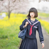 桜 x セーラー服
