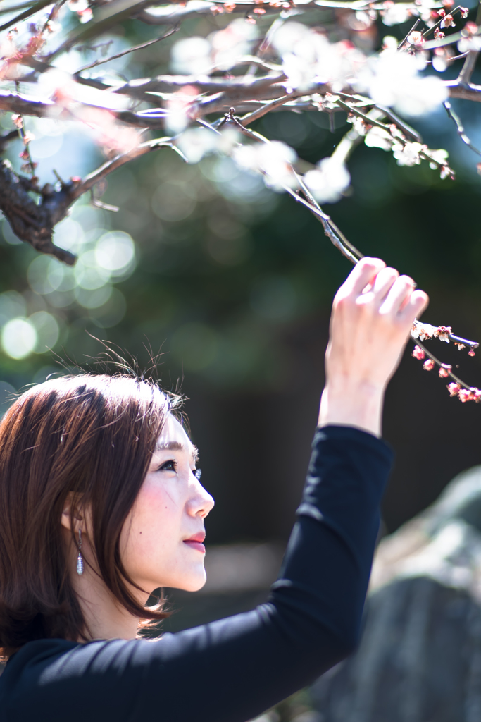 これ何の花？