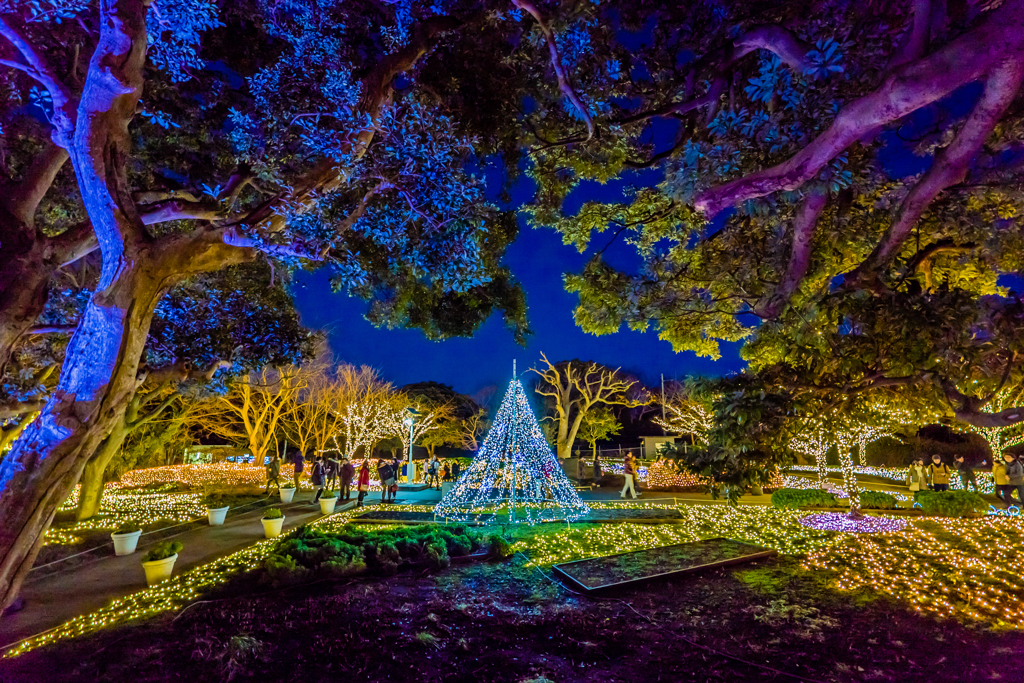 Small Magic World