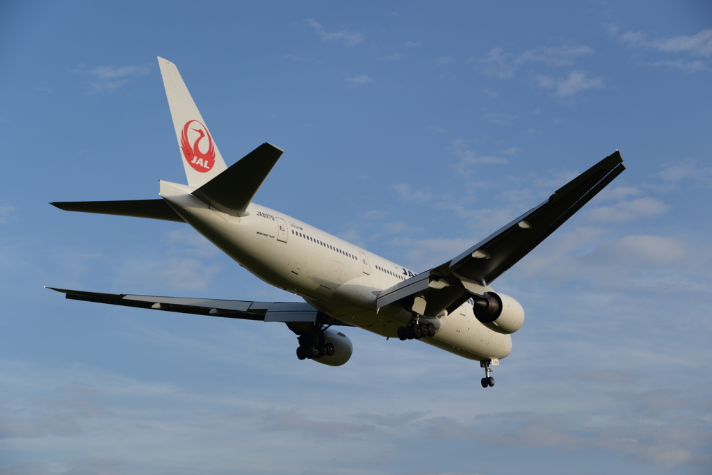 FLAP 40°