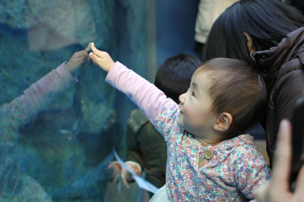 初めての水族館