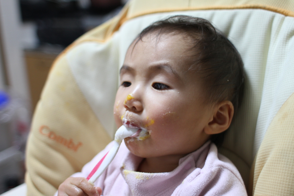 ヨーグルトを食らう