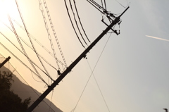 夕日へ向かって