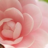 慎み