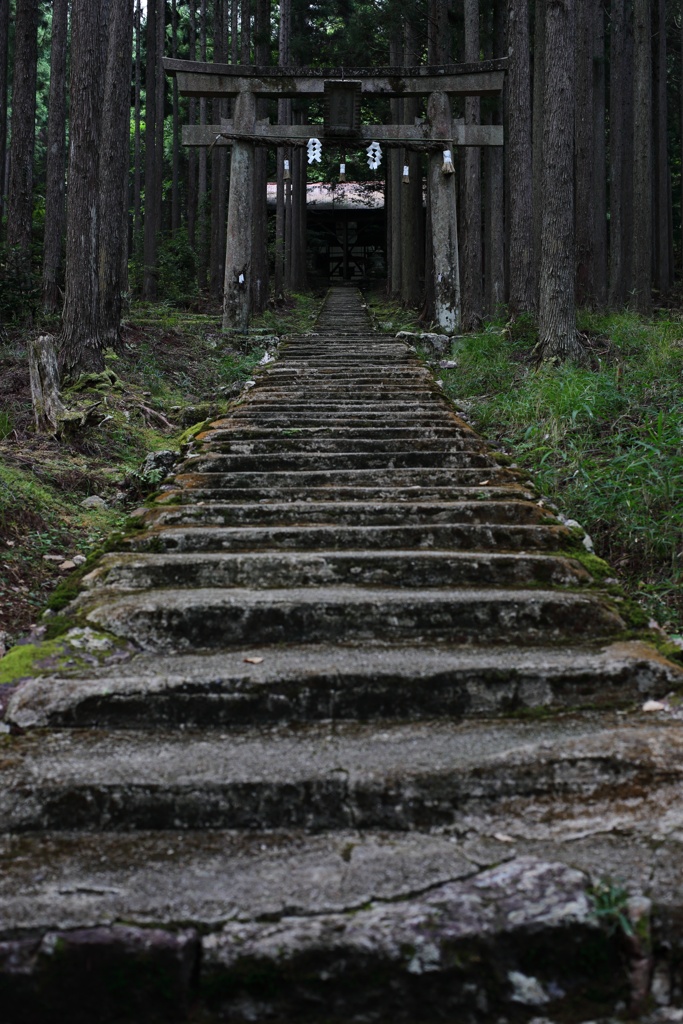 入り口