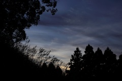 秋の夕影