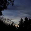 秋の夕影