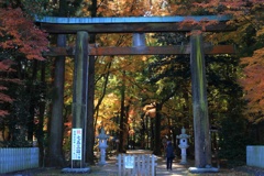 紅葉きらめく参道