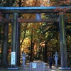 紅葉きらめく参道