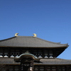 秋晴れの東大寺