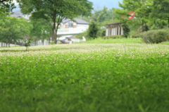 平日の公園