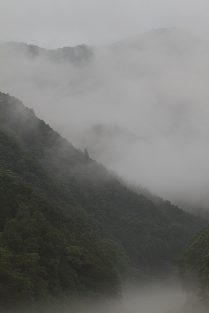 霧の香