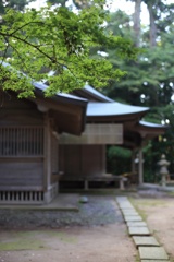 静かな朝②