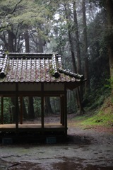 雨の参道