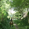 a green tunnel