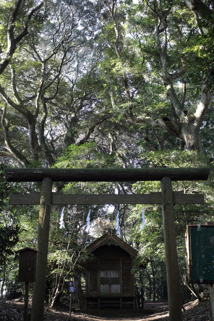 鎮守の杜