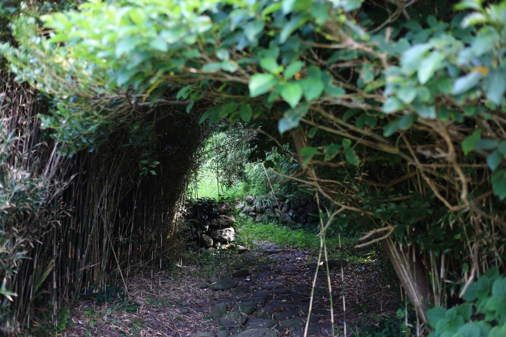 トンネルの先に